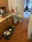 IMG 0552