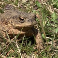 IMG 0860