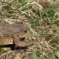 IMG 0861