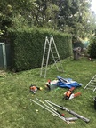 IMG 0125
