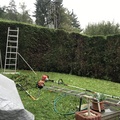 IMG 0107