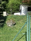 IMG 4903