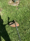 IMG 4901